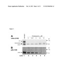 Crystal Structure of the Pro Form of a Matrix Metalloproteinase and an     Allosteric Processing Inhibitor diagram and image