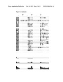 Crystal Structure of the Pro Form of a Matrix Metalloproteinase and an     Allosteric Processing Inhibitor diagram and image