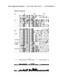 Crystal Structure of the Pro Form of a Matrix Metalloproteinase and an     Allosteric Processing Inhibitor diagram and image