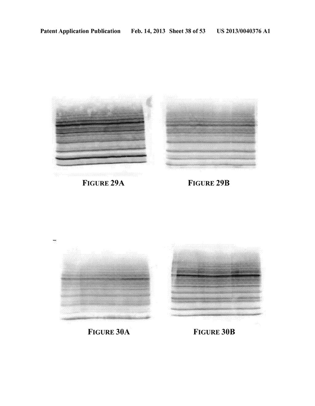 APPARATUS FOR AND METHOD OF PROCESSING BIOLOGICAL SAMPLES - diagram, schematic, and image 39