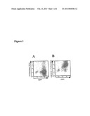 GENETICALLY MODIFIED HUMAN NATURAL KILLER CELL LINES diagram and image