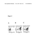 GENETICALLY MODIFIED HUMAN NATURAL KILLER CELL LINES diagram and image