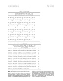 GENETICALLY MODIFIED HUMAN NATURAL KILLER CELL LINES diagram and image