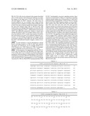 GENETICALLY MODIFIED HUMAN NATURAL KILLER CELL LINES diagram and image