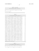 GENETICALLY MODIFIED HUMAN NATURAL KILLER CELL LINES diagram and image