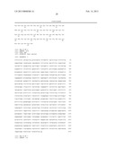 GENETICALLY MODIFIED HUMAN NATURAL KILLER CELL LINES diagram and image