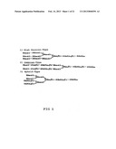 METHOD FOR MANUFACTURING GLYCOPROTEINS HAVING HUMAN-TYPE GLYCOSYLATION diagram and image