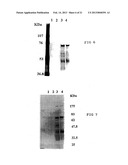 METHOD FOR MANUFACTURING GLYCOPROTEINS HAVING HUMAN-TYPE GLYCOSYLATION diagram and image