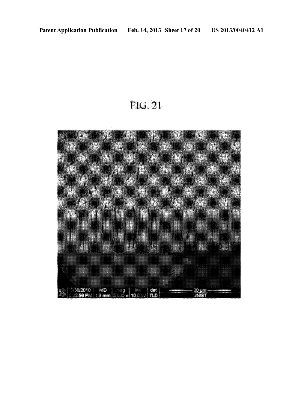 METHOD OF FORMING SILICON NANOWIRES AND METHOD OF FABRICATING LITHIUM     SECONDARY BATTERY USING THE SAME - diagram, schematic, and image 18