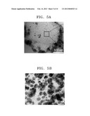 STRETCHABLE CONDUCTIVE NANOFIBERS, STRETCHABLE ELECTRODE USING THE SAME     AND METHOD OF PRODUCING THE STRETCHABLE CONDUCTIVE NANOFIBERS diagram and image