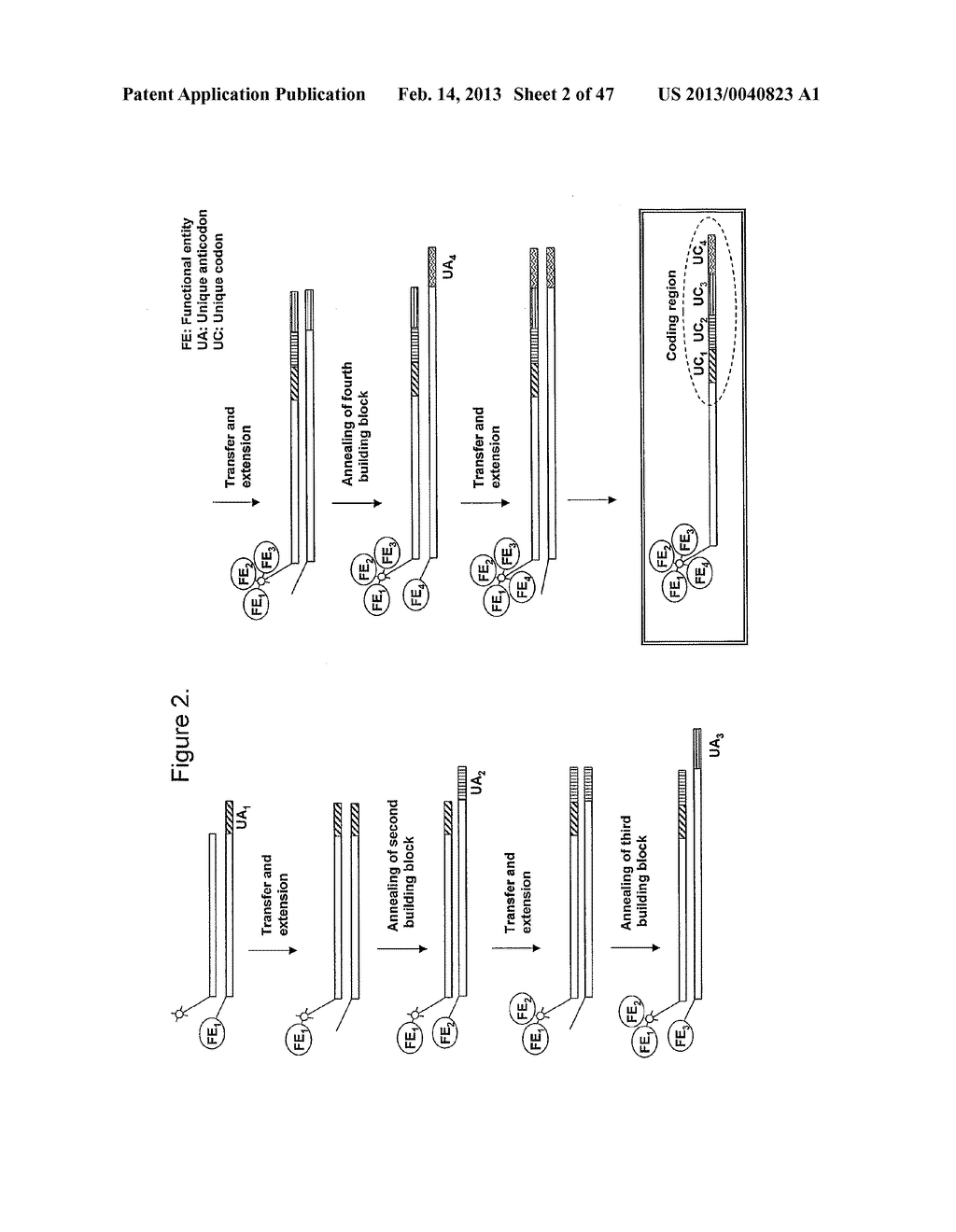 METHOD FOR THE SYNTHESIS OF A BIFUNCTIONAL COMPLEX - diagram, schematic, and image 03