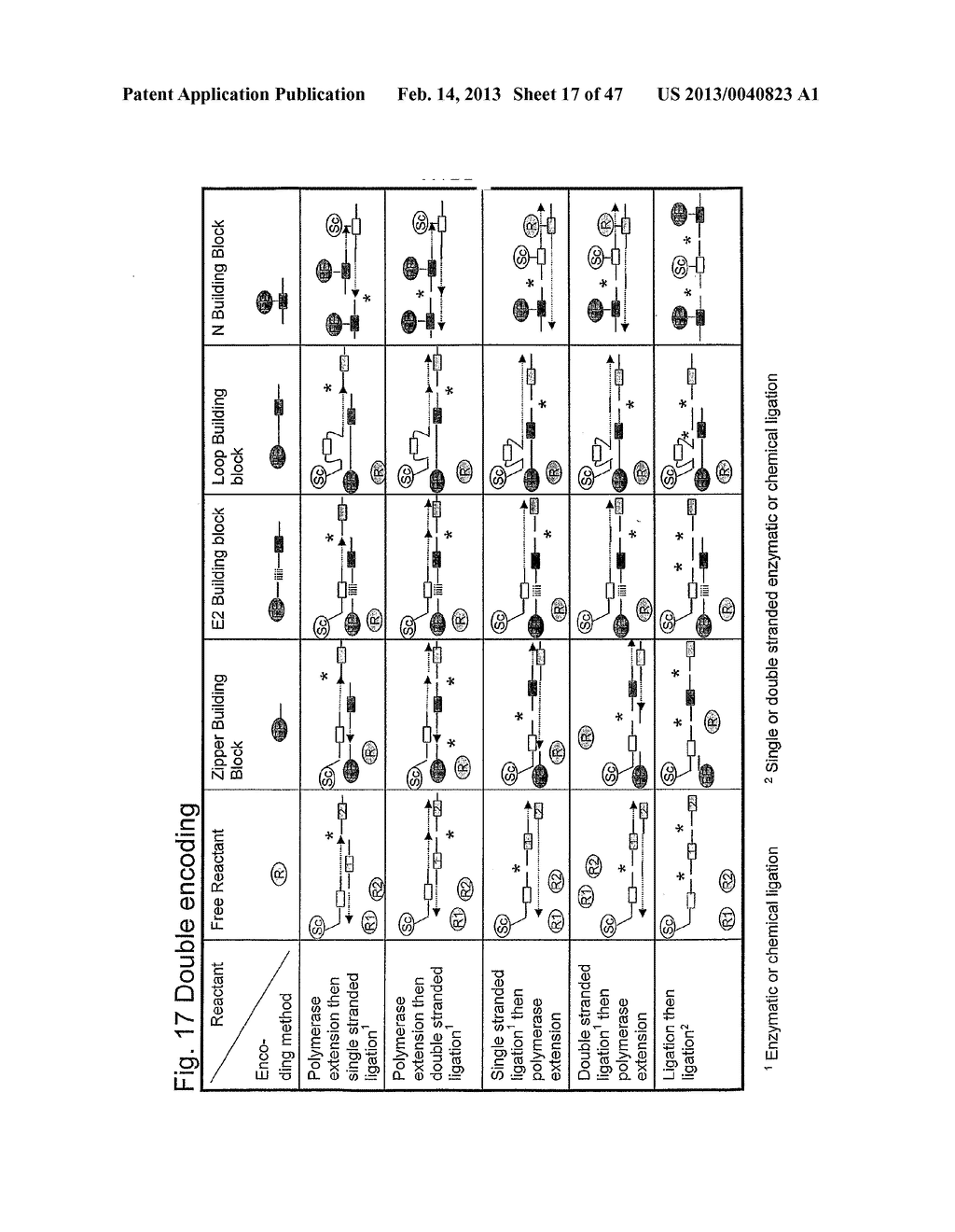 METHOD FOR THE SYNTHESIS OF A BIFUNCTIONAL COMPLEX - diagram, schematic, and image 18