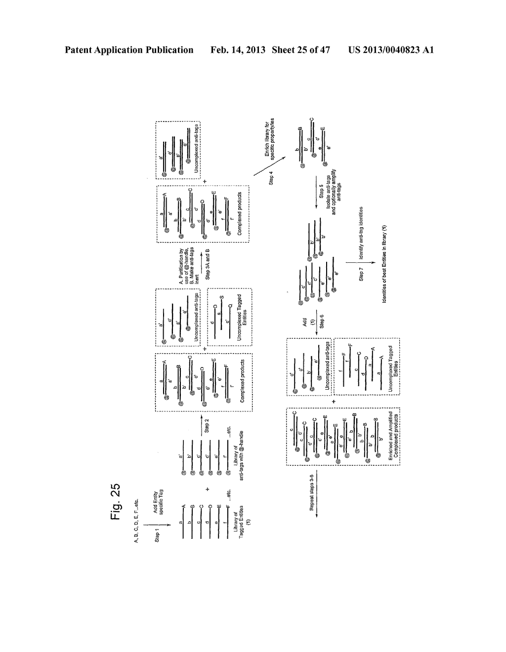 METHOD FOR THE SYNTHESIS OF A BIFUNCTIONAL COMPLEX - diagram, schematic, and image 26