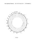 DETECTION OF GENETIC OR MOLECULAR ABERRATIONS ASSOCIATED WITH CANCER diagram and image