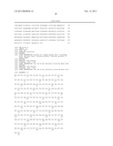 METHODS FOR ENGINEERING T-CELL RECEPTORS diagram and image