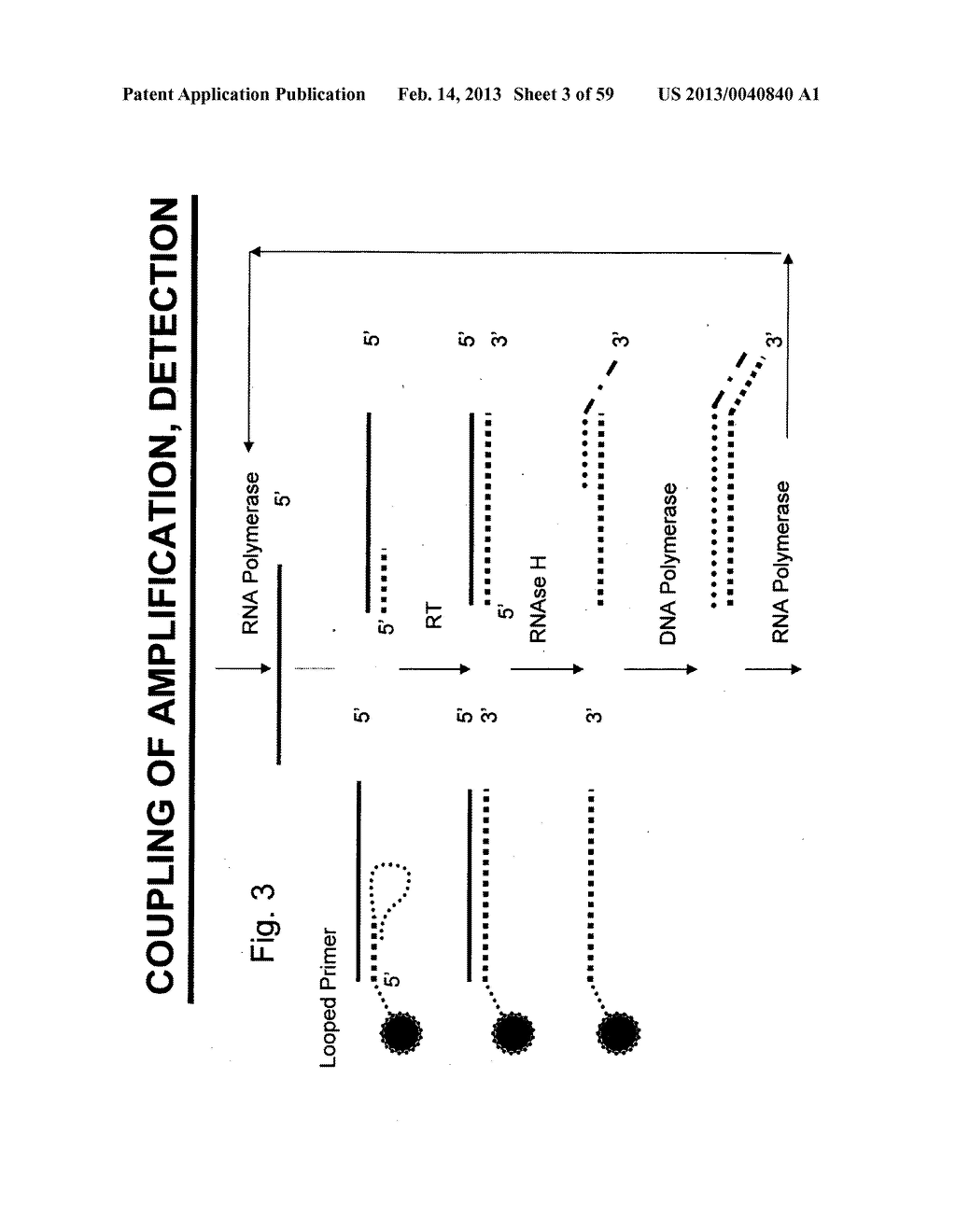 NUCLEIC ACID AMPLIFICATION WITH INTEGRATED MULTIPLEX DETECTION - diagram, schematic, and image 04