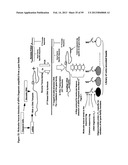NUCLEIC ACID AMPLIFICATION WITH INTEGRATED MULTIPLEX DETECTION diagram and image