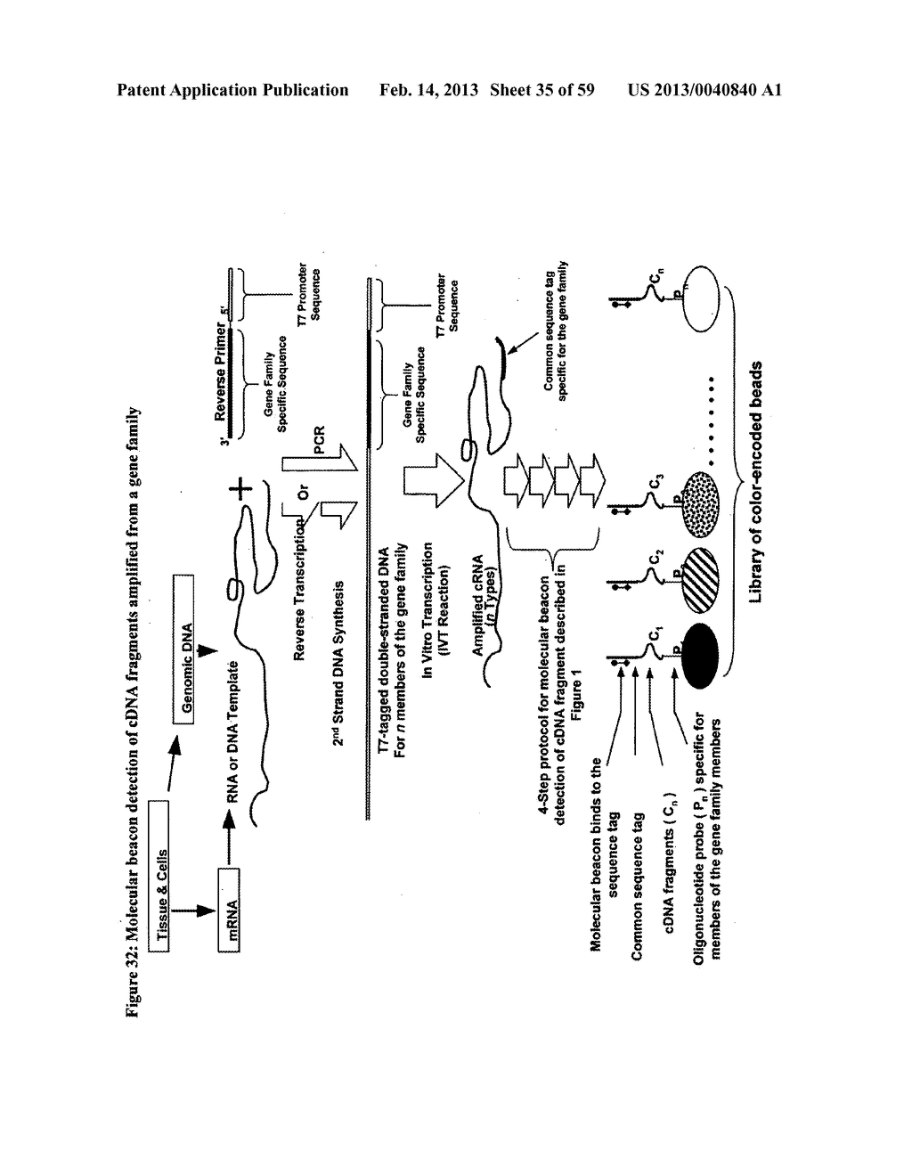 NUCLEIC ACID AMPLIFICATION WITH INTEGRATED MULTIPLEX DETECTION - diagram, schematic, and image 36