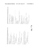 Increasing Multiplex Level by Externalization of Passive Reference in PCR     Reactions diagram and image