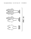 BIOMARKERS OF AGING FOR DETECTION AND TREATMENT OF DISORDERS diagram and image