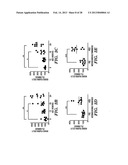 BIOMARKERS OF AGING FOR DETECTION AND TREATMENT OF DISORDERS diagram and image