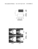 BIOMARKERS OF AGING FOR DETECTION AND TREATMENT OF DISORDERS diagram and image