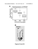 Signatures for Kidney Aging diagram and image