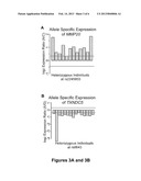 Signatures for Kidney Aging diagram and image