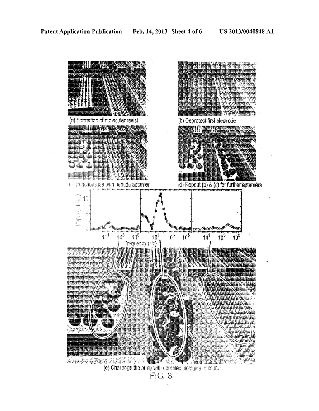 Methods and Devices for Detecting Structural Changes in a Molecule     Measuring Electrochemical Impedance - diagram, schematic, and image 05