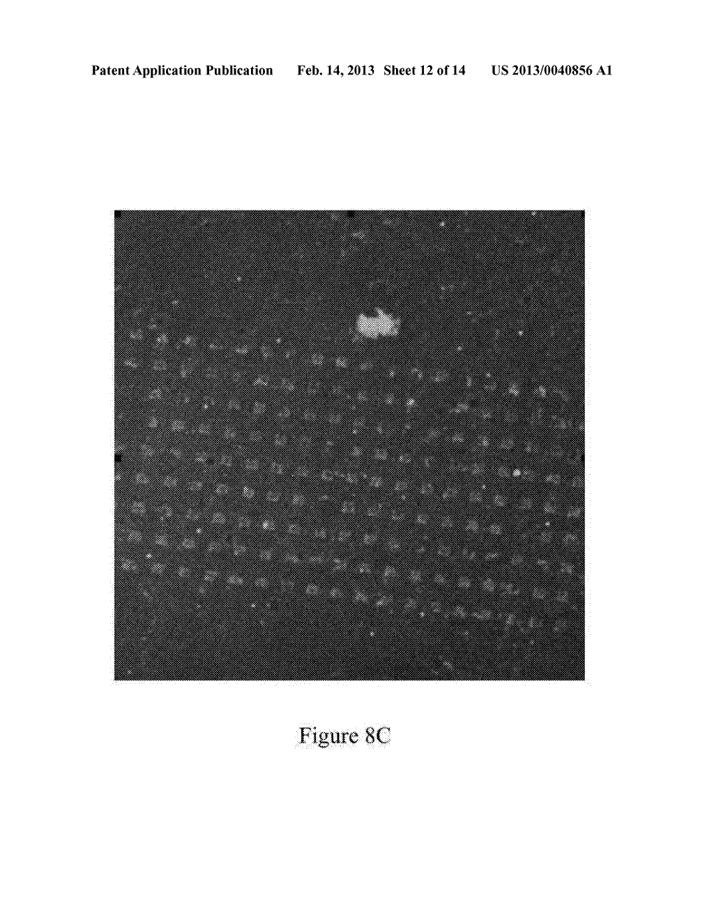 Generation of Combinatorial Patterns by Deliberate Tilting of a     Polymer-Pen Array - diagram, schematic, and image 13