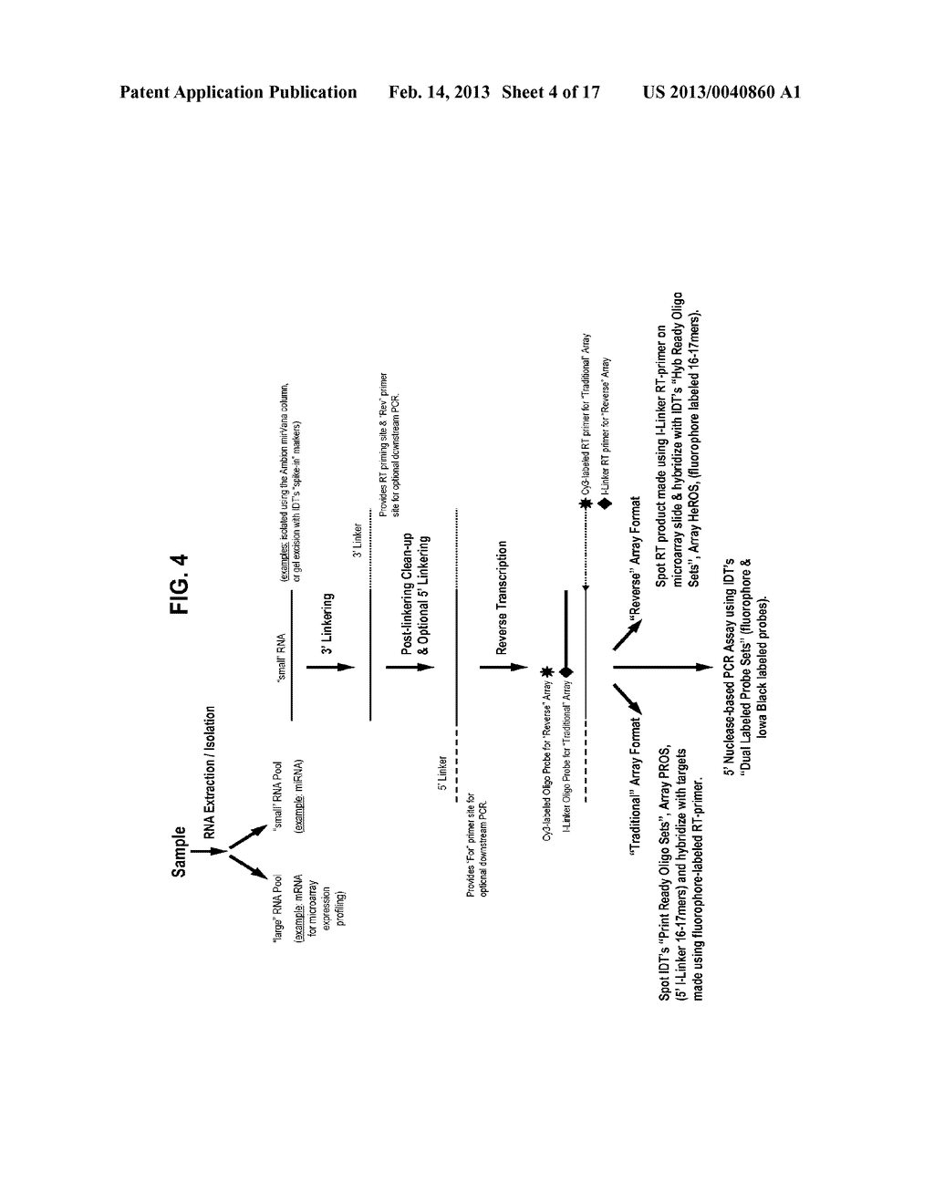 MICROARRAY SYSTEM WITH IMPROVED SEQUENCE SPECIFICITY - diagram, schematic, and image 05