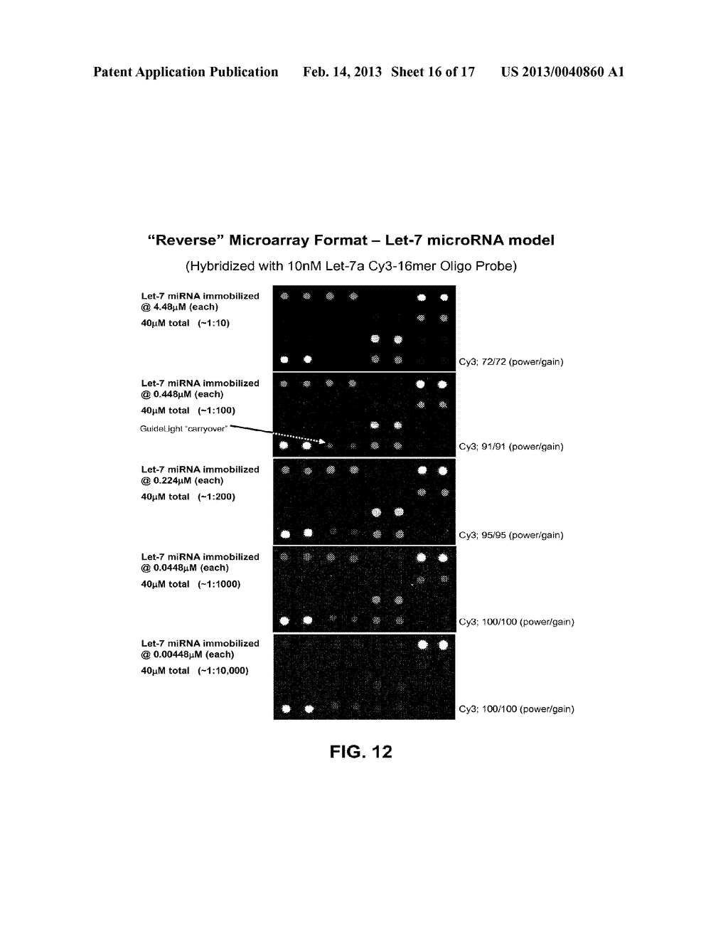 MICROARRAY SYSTEM WITH IMPROVED SEQUENCE SPECIFICITY - diagram, schematic, and image 17