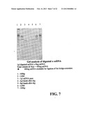 NOVEL METHODS OF CONSTRUCTING LIBRARIES COMPRISING DISPLAYED AND/OR     EXPRESSED MEMBERS OF A DIVERSE FAMILY OF PEPTIDES, POLYPEPTIDES OR     PROTEINS AND THE NOVEL LIBRARIES diagram and image