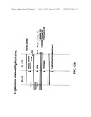 NOVEL METHODS OF CONSTRUCTING LIBRARIES COMPRISING DISPLAYED AND/OR     EXPRESSED MEMBERS OF A DIVERSE FAMILY OF PEPTIDES, POLYPEPTIDES OR     PROTEINS AND THE NOVEL LIBRARIES diagram and image