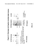 NOVEL METHODS OF CONSTRUCTING LIBRARIES COMPRISING DISPLAYED AND/OR     EXPRESSED MEMBERS OF A DIVERSE FAMILY OF PEPTIDES, POLYPEPTIDES OR     PROTEINS AND THE NOVEL LIBRARIES diagram and image