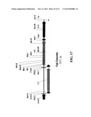 NOVEL METHODS OF CONSTRUCTING LIBRARIES COMPRISING DISPLAYED AND/OR     EXPRESSED MEMBERS OF A DIVERSE FAMILY OF PEPTIDES, POLYPEPTIDES OR     PROTEINS AND THE NOVEL LIBRARIES diagram and image