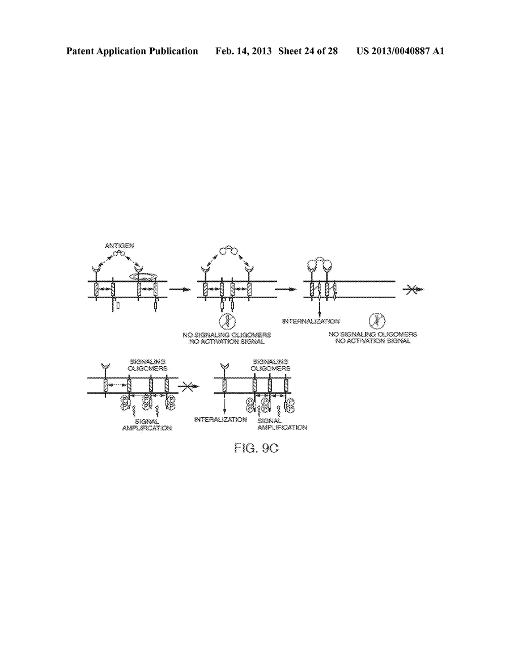 Inhibiting Collagen-Induced Platelet Aggregation and Activation with     Peptide Variants - diagram, schematic, and image 25