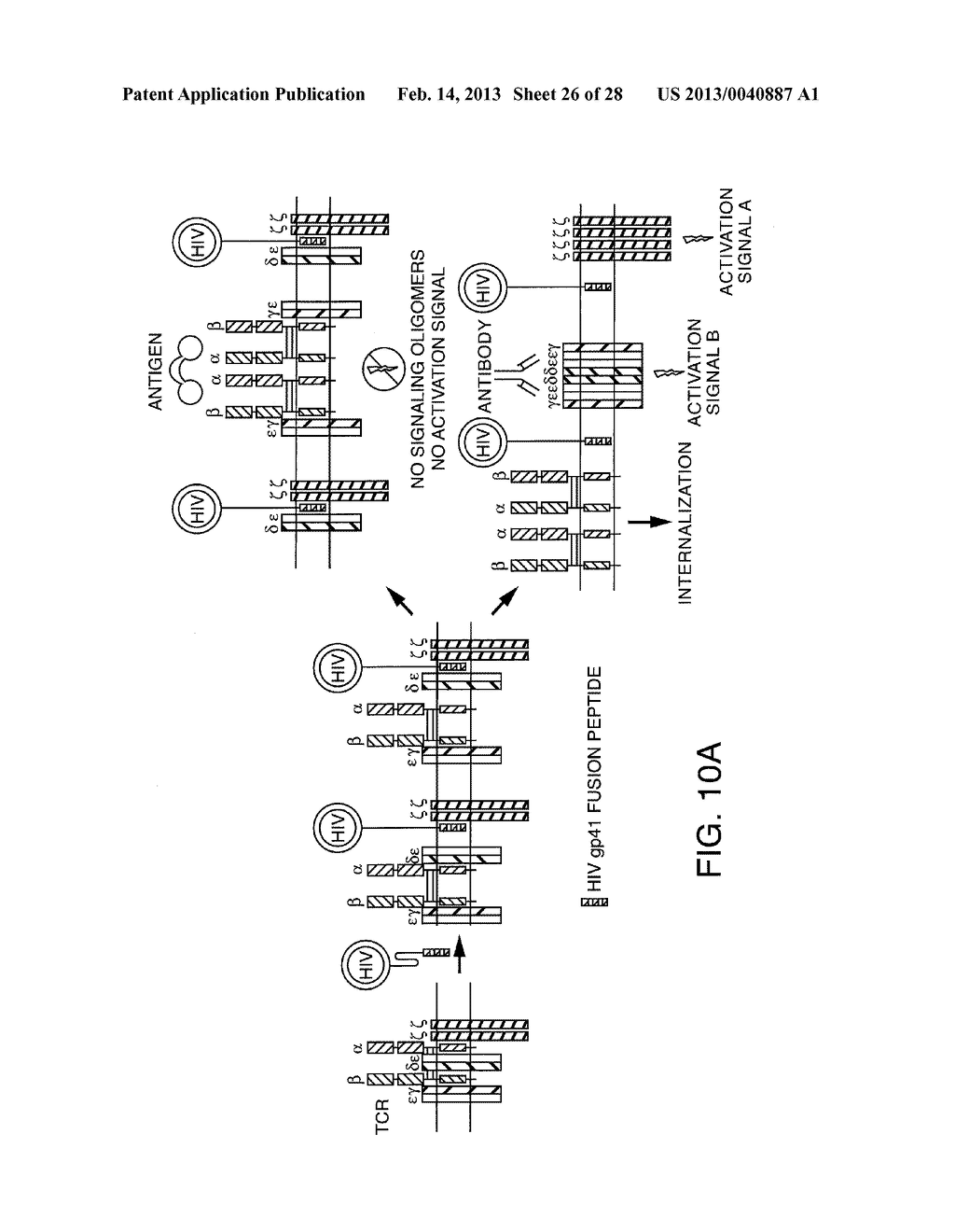 Inhibiting Collagen-Induced Platelet Aggregation and Activation with     Peptide Variants - diagram, schematic, and image 27