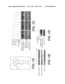 COMPOSITIONS INCLUDING TRICIRIBINE AND ONE OR MORE PLATINUM COMPOUNDS AND     METHODS OF USE THEREOF diagram and image