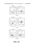 COMPOSITIONS INCLUDING TRICIRIBINE AND ONE OR MORE PLATINUM COMPOUNDS AND     METHODS OF USE THEREOF diagram and image