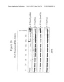 COMPOSITIONS INCLUDING TRICIRIBINE AND ONE OR MORE PLATINUM COMPOUNDS AND     METHODS OF USE THEREOF diagram and image