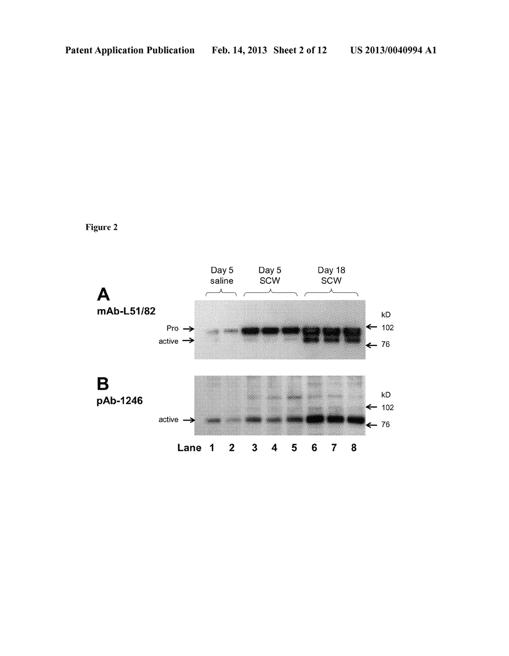 Methods of Treatment Using Allosteric Processing Inhibitors for Matrix     Metalloproteinases - diagram, schematic, and image 03