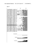 Methods of Treatment Using Allosteric Processing Inhibitors for Matrix     Metalloproteinases diagram and image