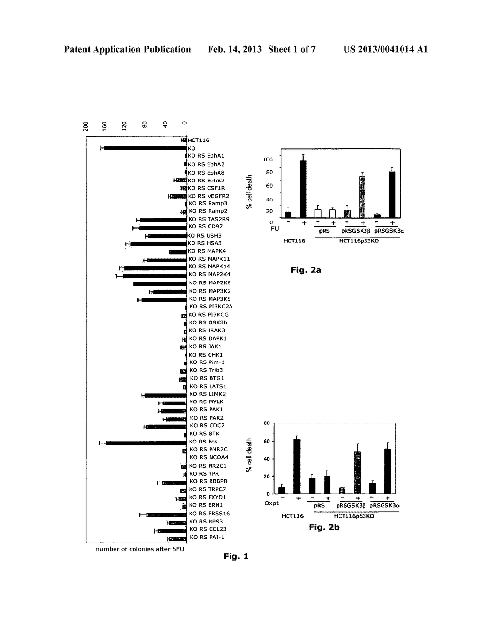 ISOFORM OF BRUTON'S TYROSINE KINASE (BTK) PROTEIN - diagram, schematic, and image 02