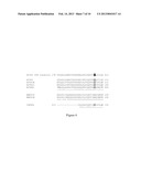 SIRNA-BASED THERAPY OF FIBRODYPLASIA OSSIFICANS PROGRESSIVA (FOP) diagram and image