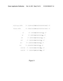 SIRNA-BASED THERAPY OF FIBRODYPLASIA OSSIFICANS PROGRESSIVA (FOP) diagram and image