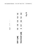 SDF-1 Binding Nucleic Acids diagram and image