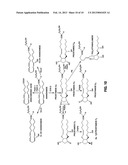 COMPOSITIONS AND METHODS FOR TREATING HAIR LOSS, HAIR THINNING, AND HAIR     COLOR LOSS diagram and image