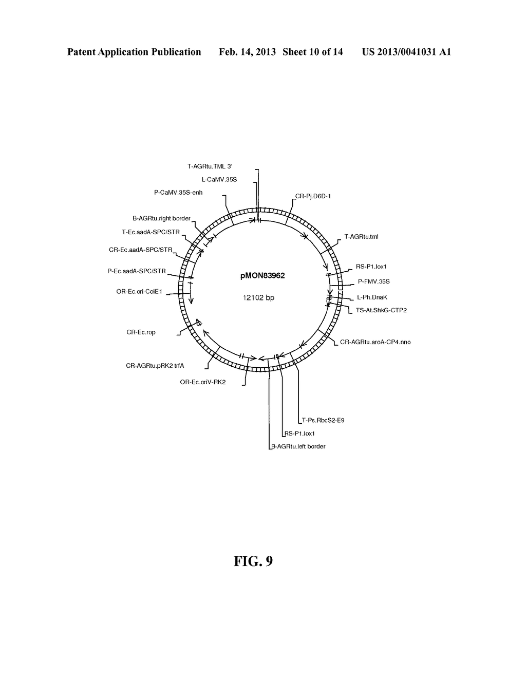 FATTY ACID DESATURASES FROM PRIMULA - diagram, schematic, and image 11