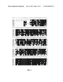 FATTY ACID DESATURASES FROM PRIMULA diagram and image